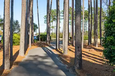 283 Ivory Shadow Road, Summerville, SC 29486 - Photo 56