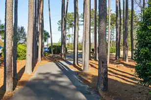 283 Ivory Shadow Rd, Summerville, SC 29486 - Photo 56