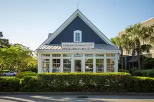 934 Sealoft Villa Dr, Seabrook Island, SC 29455 - Photo 136
