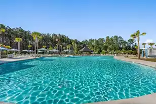 717 Coral Bells Ln, Summerville, SC 29483 - Photo 6