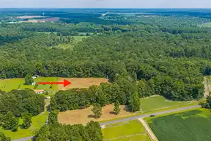 239 Belfast Ave, Holly Hill, SC 29059 - Photo 56