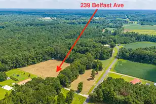 239 Belfast Ave, Holly Hill, SC 29059 - Photo 60