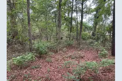 0 Old Cherry Hill Road, Moncks Corner, SC 29461 - Photo 6