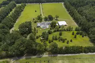 940 Old Sandy Run Rd, Gaston, SC 29053 - Photo 48