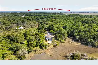 167 Cape Palmetto Point Trail, Edisto Island, SC 29438 - Photo 2