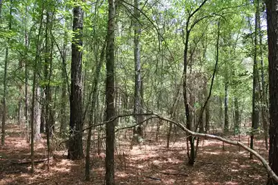 0 North Road, Orangeburg, SC 29118 - Photo 12
