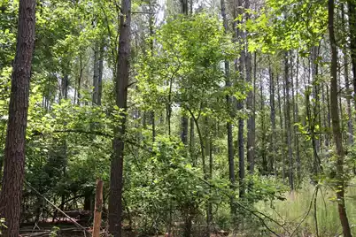 0 North Road, Orangeburg, SC 29118 - Photo 6