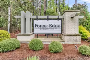 405 Henry Joseph Way, Huger, SC 29450 - Photo 62