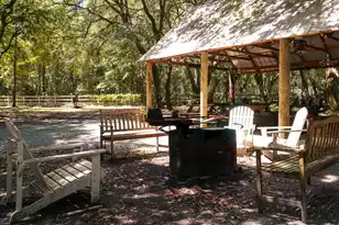 189 Indian Oaks Ln, Cottageville, SC 29435 - Photo 6