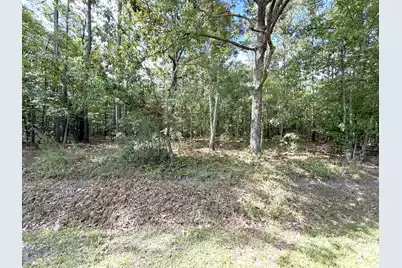 76 Honey Drive, Walterboro, SC 29488 - Photo 6