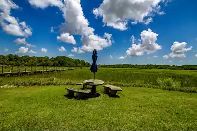 2039 Bentz Road, Wadmalaw Island, SC 29487 - Photo 54