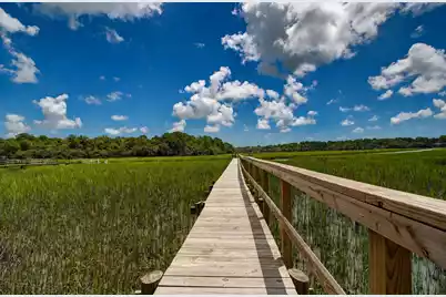 2039 Bentz Road, Wadmalaw Island, SC 29487 - Photo 4