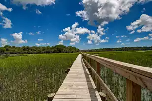 2039 Bentz Rd, Wadmalaw Island, SC 29487 - Photo 4
