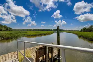 2039 Bentz Rd, Wadmalaw Island, SC 29487 - Photo 8