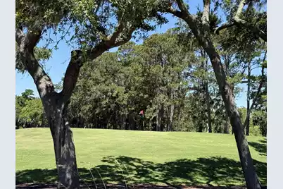 0 Gnarled Oaks Lane, Johns Island, SC 29455 - Photo 24
