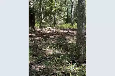 0 Gnarled Oaks Lane, Johns Island, SC 29455 - Photo 26