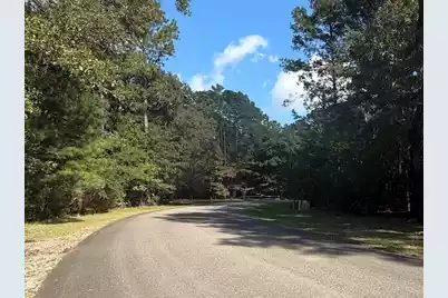 0 Gnarled Oaks Lane, Johns Island, SC 29455 - Photo 4