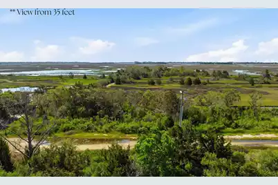 1499 Tomato Farm Circle, Mount Pleasant, SC 29464 - Photo 6