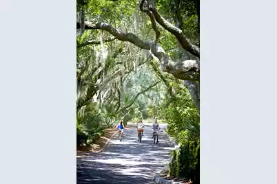 2594 Jenkins Point Road, Seabrook Island, SC 29455 - Photo 132