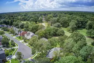 113 Gateshead Crossing N, Goose Creek, SC 29445 - Photo 68