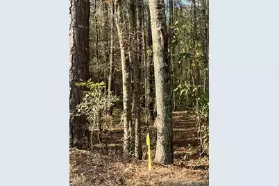 5331 Old Military Road #Lot #3, Adams Run, SC 29426 - Photo 2