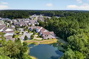 3106 Safe Harbor Way, Charleston, SC 29414 - Photo 60