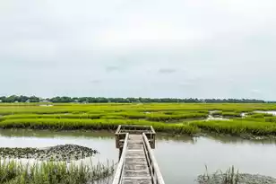 1896 Bowens Island Rd, Charleston, SC 29412 - Photo 70