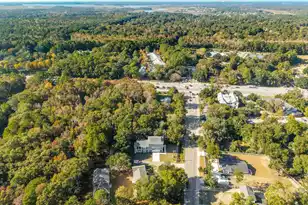 1127 Hamlin Rd, Mount Pleasant, SC 29466 - Photo 78