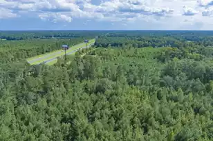 0 Mulberry Rd, Saint George, SC 29477 - Photo 10