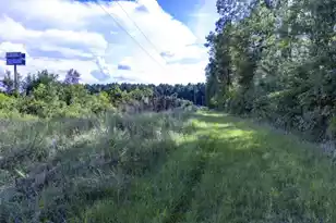 0 Mulberry Rd, Saint George, SC 29477 - Photo 6