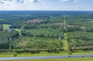 0 Mulberry Rd, Saint George, SC 29477 - Photo 20