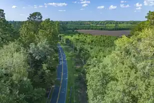 0 Mulberry Rd, Saint George, SC 29477 - Photo 38