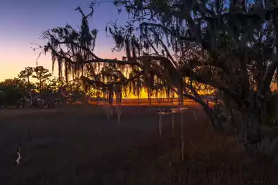 1102 Down Under Lane, Edisto Island, SC 29438 - Photo 62