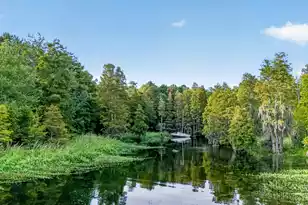 113 Ripple Ave, Moncks Corner, SC 29461 - Photo 48