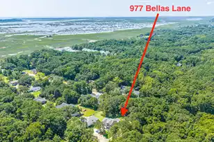 977 Bellas Ln, Awendaw, SC 29429 - Photo 78