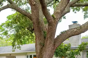 209 Cynthia Ln, Charleston, SC 29407 - Photo 8