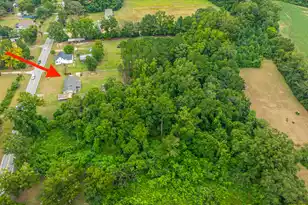 3279 Wire Rd, Saint George, SC 29477 - Photo 80