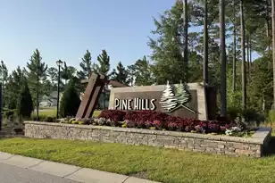243 Light Way N, Summerville, SC 29486 - Photo 50