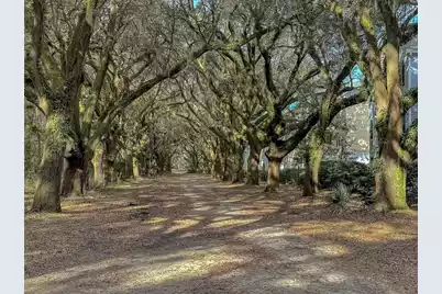 60 Fenwick Hall Alley #Unit 226, Johns Island, SC 29455 - Photo 32