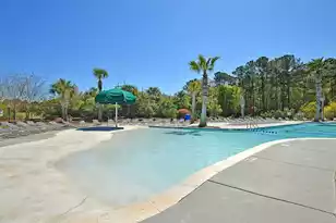 2671 Fountainhead Way, Mount Pleasant, SC 29466 - Photo 74