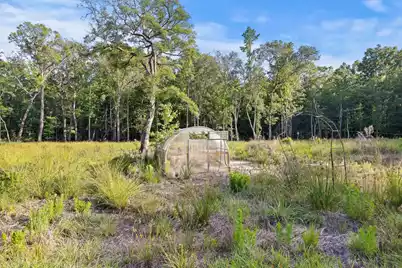 5339 Highway 162, Hollywood, SC 29449 - Photo 6