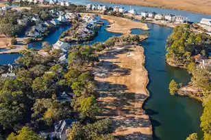 55 Rice Ln, Edisto Island, SC 29438 - Photo 4