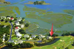 5043 Barrier Island Ct, Mount Pleasant, SC 29466 - Photo 74