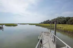 5043 Barrier Island Ct, Mount Pleasant, SC 29466 - Photo 34