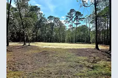 0 White Sands Road, Walterboro, SC 29488 - Photo 4
