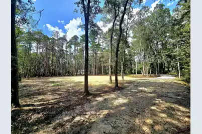 0 White Sands Road, Walterboro, SC 29488 - Photo 6