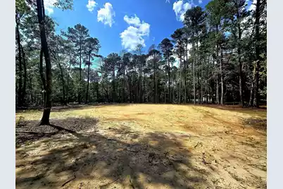 0 White Sands Road, Walterboro, SC 29488 - Photo 2