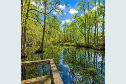 384 Suwanee Drive, Vance, SC 29163 - Photo 48