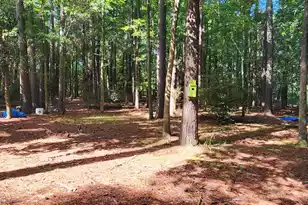 124 Isgett Ln, Holly Hill, SC 29059 - Photo 10