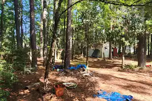 124 Isgett Ln, Holly Hill, SC 29059 - Photo 12